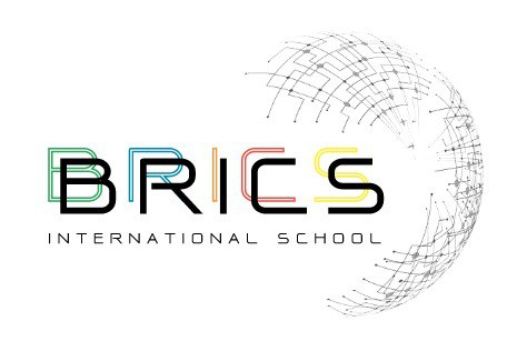 Brics banner22